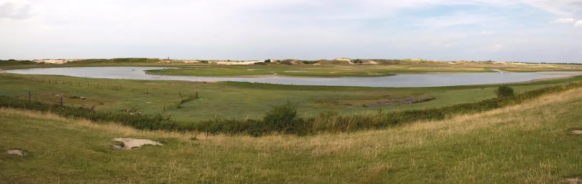 Zwin nature reserve, Knokke-Heist