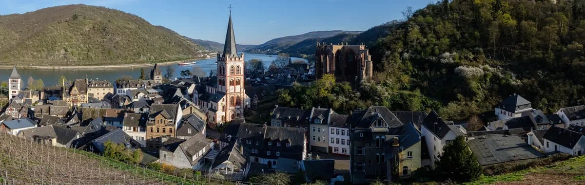 The Rhine and vineyards at Bacharach