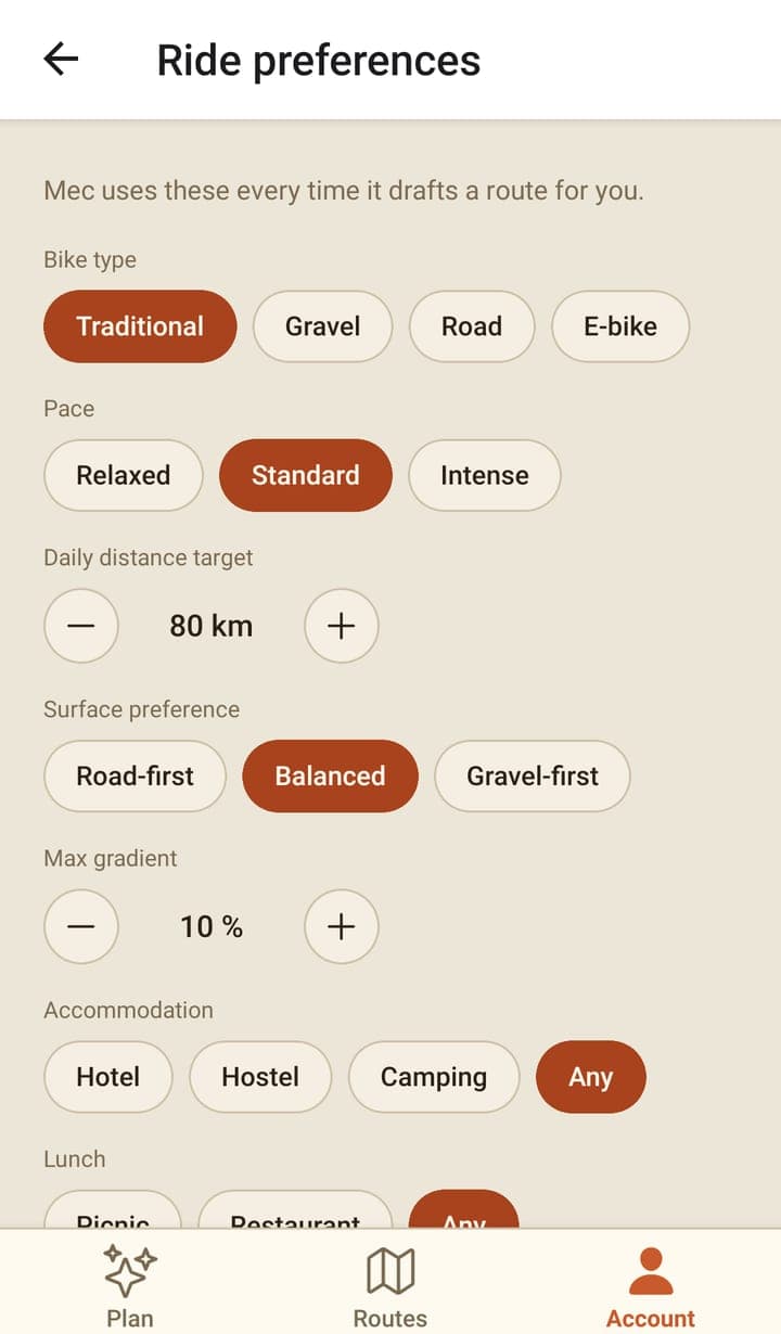 The Ride preferences screen: chips for bike type, pace, surface and accommodation, a 'Daily distance target' stepper at 80 km and a 'Max gradient' stepper at 10%.